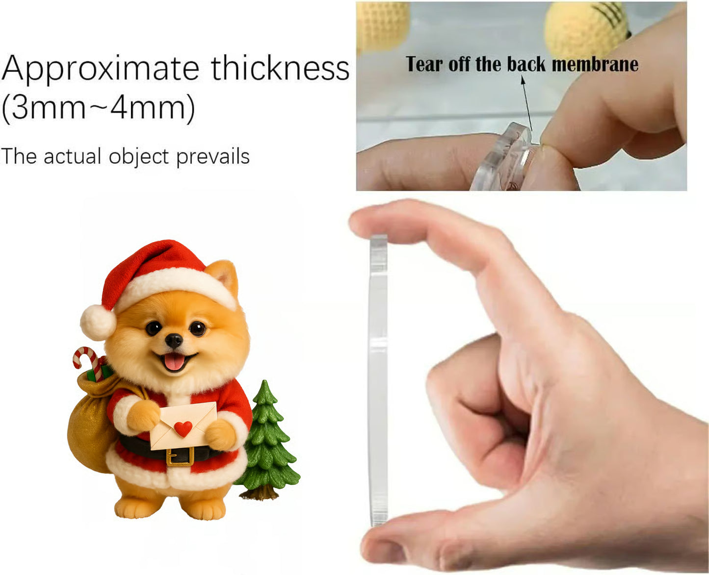 Pomeranian Sweet Wonderland Advent Calendar 2025